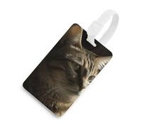 Durable TPU Luggage Tag with Information Card, Scratch-Resistant Travel Bag Tag, Tabby Cat Suitcase Tags for Bags & Tools, White-style, One Size, classic