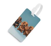 Durable TPU Luggage Tag with Information Card, Scratch-Resistant Travel Bag Tag, Three Dachshunds Suitcase Tags for Bags & Tools, White-style, One Size, classic