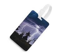 Durable TPU Luggage Tag with Information Card, Scratch-Resistant Travel Bag Tag, Witch Prayed Suitcase Tags for Bags & Tools, White-style, One Size, classic