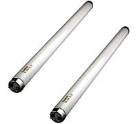 DuraBulb 2 x 15W Insect Killer Bulbs - T8 15 Watt BL368 UV Tubes for 30W Fly Killers/Insect Zappers