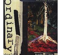 Duran Duran - Ordinary World