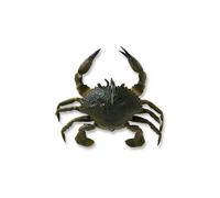 Duratech Crab 1" 1/3 oz RTF (Green Crab) 4174