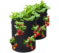 Durdiiy Strawberry Grow Bags 1PC, Bags for Vegetables, 5 Gallon Garden Plant with Handles and Porous, Breathable Nonwoven Fabric Potato Flower/Plant/Fruits/Tomato/Carrot/Onion