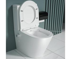 Durovin Bathrooms Close Coupled Toilet with Bidet All in One Back to Wall Toilet - Include WC Pan with Quick Release Soft Close Seat - 365 x 610 x 800mm (WxDxH)