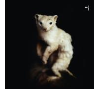 Dus-Ti - Dus-Ti & Eiko [Vinyl Maxi-Single] [VINYL]