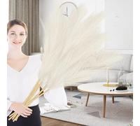 Duscdesp 43"/110cm Artificial Pampas Grass, 6 Pcs Large Fluffy Tall Grass for Floor Vases, Wedding, Living Room, Bedroom, Home, Boho Decor (Beige)