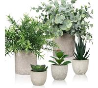 Duscdesp Pack of 5 Artificial Plants, Small Artificial Plant Like Real with Pot, Eucalyptus Succulents Rosemary Fake Plants for Office, Living Room, Windowsill, Indoor Decoration (5 Pots with