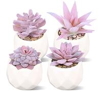 Duscdesp Set of 4 Mini Faux Succulents Plant with Pots,Small Succulent Fake Plants in Ceramic Pots, Artificial Plastic Plants Indoor for Office Kitchen Bedroom Bathroom Decoration (Pink) (EC-4875)