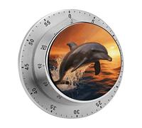 Dusk Dolphin Kitchen Timer 60 Minute Visual Wind Up Timers Indoor Mechanical Timers with Magnetic Base Stainless Steel Timer for Home Cooking Time Management Tool