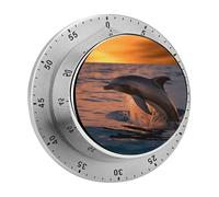 Dusk Dolphin Kitchen Timers for Cooking 60 Minute Wind Up Timer, Magnetic Back, Visual Mechanical Timer with Loud Alarm, Manual Countdown Timers for Classroom Home Gym Tanning