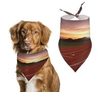 Dusk Running Track Spring Summer Dog Bandanas Soft, Dog Scarf Washable Triangle, Pet Bandana Cute Outdoor Accessories for Small Dogs Cat Pet