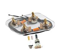 DuskHaven Pre-wired 2T2V Electrical Wiring Harness with Sound And Volume Control, And Connection Plate.