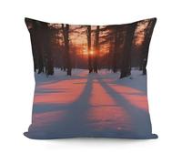 DuskPlush Pillow Cover,Soft Breathable and Comfortable,Throw Pillow Cover,Elegant Designed,Pillow Cases for Bed Sofa Couch Living Room 18 * 18In