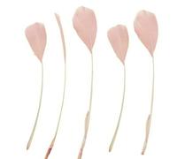 Dusky Light Pink Stripped Coque Style Feathers x 5 - Fascinators, Weddings - 6 inches Approx