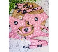 Dusky Pink Daisies Floral Dog Collar - Pet Pooch Boutique Size XS-M (Medium 32-50cm / 12.5-19.5 inch. 2cm wide)