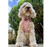 Dusky Pink Daisies Floral Dog Harness. Pet Pooch Boutique - size XS-L (ideal for small dogs) (medium)