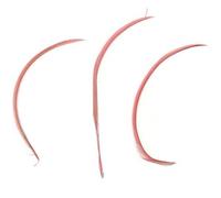 Dusky Rose Pink Biot Feathers x 5 - Millinery hat, fascinator, wedding decoration - long feathers