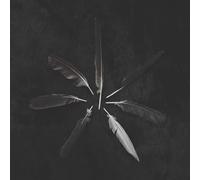 Caspian – Dust and Disquiet – Vinyl LP – The Orchard