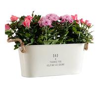 Dust and Things Engraved Flower Planter 'Thanks For Helping Us Grow' - Unique Indoor Outdoor Metal Plant Pot - Fathers Day or Birthday Gift for Dad - Medium