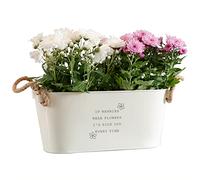Dust and Things Engraved Nannies Garden Long Plant Pot - Indoor/Outdoor, Beige, Medium Size, Rectangular, No Drainage Hole