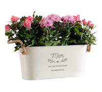 Dust and Things 'Mam You're Blooming Wonderful' Engraved Flower Planter | Unique Indoor Outdoor Herb Plant Pots | Birthday Gift From Children for Mam