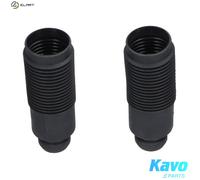 KAVO PARTS SPK-10108 Dust cover kit, shock absorber
