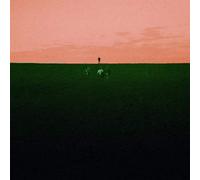 Dust Covered Carpet - Witness Me, Pass Out