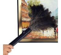 Duster - Dust Remover | Cleaning Duster for Home Car Office Hotel | ABS + Feathers Static, Reusable Eco-friendly Hand Cleaning Dust Remover Towel for Cleaning