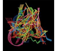 Dustin Wong - Perpetual Morphosis