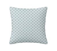 Dusty Blue Valentines Day Polyester Velvet Pillow Covers Non-Fading,Owl Theme Big-Eyed,Sofa Home Decorations Wedding Anniversary Vacation Decor,Blue 24 x 24 inch, IA-bzfx0118L480038a40