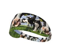 Dutch Cows,Sports Sweatband for Unisex Multi Headband Elastic Exercise Hairband