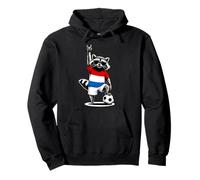 Dutch Flag Men Women Kids Netherlands Pullover Hoodie