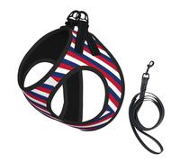 Dutch flag Print Dog Harness and Leash Set,Breathable Adjustable Escape Proof Vest for Cats Dogs