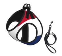 Dutch flag print Dog Harness and Leash Set, Reflective Adjustable Puppy Vest for Small Medium Large Dogs, Cats