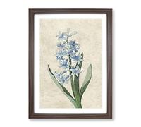 Dutch Hyacinth Flowers By Pierre Joseph Redoute Vintage Framed Wall Art Print, Ready to Hang Picture for Living Room Bedroom Home Office Décor, Walnut A4 (34 x 25 cm)