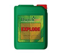 Dutch Pro Explode 5 Litres Bloom Stimulant Booster Flowering Enhancer