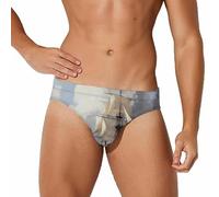 Dutch Ships Sailing Men's Swim Brief Sexy Bikini Swimwear Bathing Swimsuit Trunks 3XL