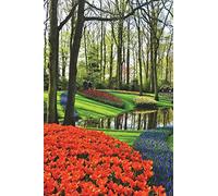 Dutch Spring Garden Keukenhof in Holland/Netherlands Journal: 150 page lined notebook/diary