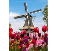 Dutch Tulip Windmill - 2000 Piece Paper Puzzle - Puzzle for Families, Couples70x100cm