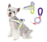 Duuclume Dog Harness No Pull Saddle Harness with 1.5m Padded Lead, Breathable Soft Foam Handle, Adjustable for Small Medium Dogs (Purple, S)