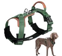 Duuclume No-Pull Dog Harness with Leather Padding,Reflective Escape Proof Pet Vest Harness with A-Buckle, Adjustable Nylon Webbing (Green, XL)