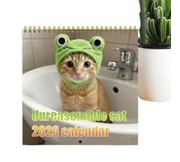 Duvcoywae Funny Calendar Cat | 2026 Wall Calendar | Monthly Planner for Holiday Christmas Halloween New Year Home Office Family Kids Friends