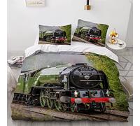 Duvet Cover set single Retro Train 3d Printed Quilt Cover with Zipper Closure and Pillowcase Steam Locomotive Comforter Cover 3 Pieces Ultra Soft Microfiber Bedding Set for Girls Teens