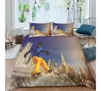 Duvet Covers Double 200X200 Cm Skiing Extreme Sports Three Pieces 3D Printed Bedding Set, Ultra Soft Hypoallergenic Microfiber Quilt Cover Set With 2 Pillowcases, Zipper Closure -866A080L334N50