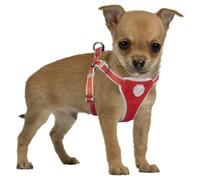 Duvo+ Bowl With Leash Flashlight Red LED, Shock Absorbing, USB Rechargeable