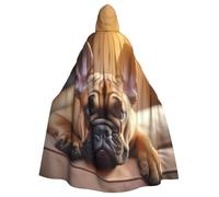 DUWAA Animal Dog French Bulldog3 Print Witch Cloak, Cloak With Hood, Halloween Hooded Cape, Wizard Robe Men Cosplay Costume