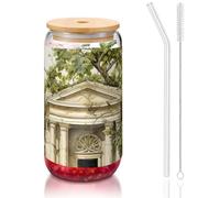 DUWAA Antique Building With Roman Olive Branch And Greek Drinking Glasses With Bamboo Lids And Glass Straw-16oz Can Shaped Glass Cups,Beer Glasses