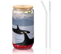 DUWAA Killer Whales Swim Along Drinking Glasses With Bamboo Lids And Glass Straw-16oz Can Shaped Glass Cups,Beer Glasses