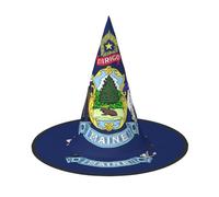 DUWAA Maine State Flag Print Print Halloween Hanging Witch Hats Costume Accessories, Decorations For Home, Yard, Porch-3pcs