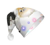 DUWAA Pomeranians Pattern Print Light Up Christmas Hat With 3 Blinking Color, Adults Led Soft Faux Santa Cap For Party
